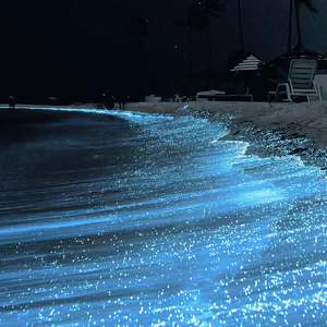 汐世凪光职场的应酬
